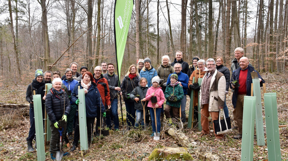 Gute News aus Moorenweis - Die Baumpflanzaktion der Stadtwerke FFB war ein voller Erfolg
